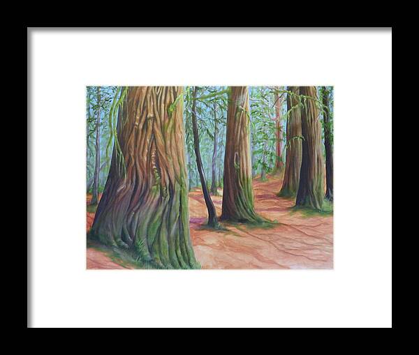 Cedar Trees Fir Cottonwood Ground Light Shadow Sky Blue Green Brown Purple Branches Leaves Moss Grass Framed Print featuring the painting The Cedars by Ida Eriksen