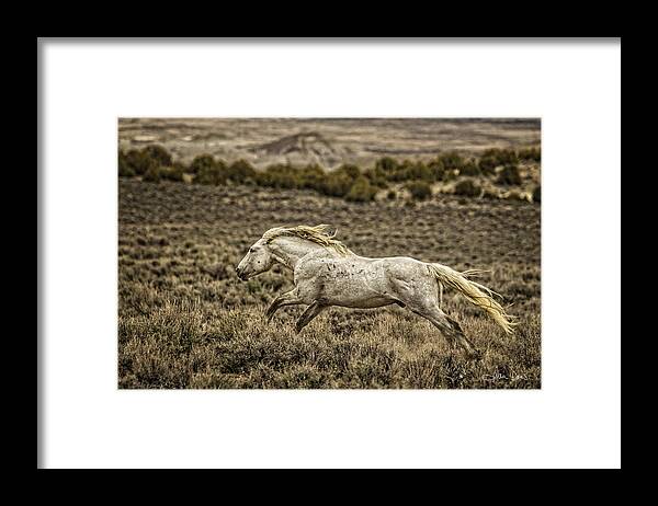 Colorado Framed Print featuring the photograph The Chaperone by Joan Davis