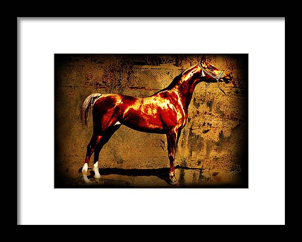 Horse Framed Print featuring the digital art The Chestnut Colt by Janice OConnor