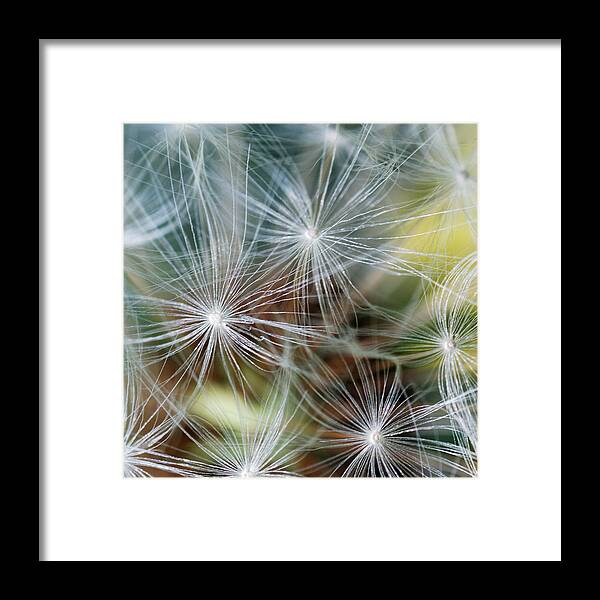  Framed Print featuring the photograph The Clock by Wendy Wilton