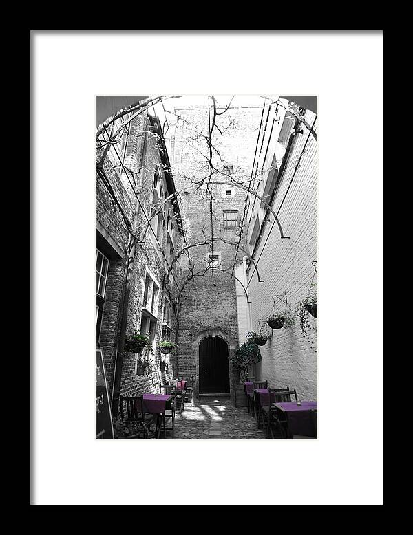 Antwerp Framed Print featuring the photograph The Color Purple by Richard Gehlbach