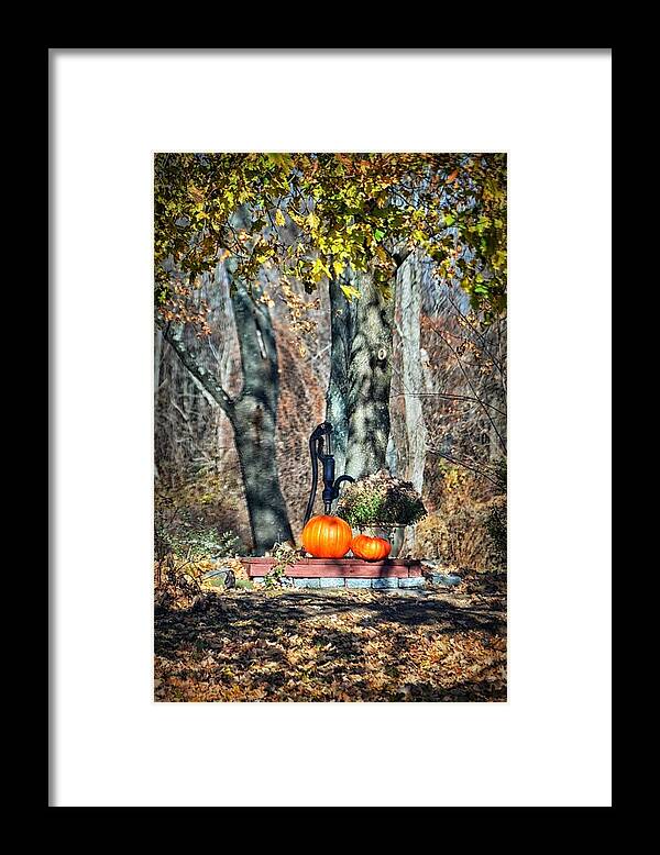 Nature Framed Print featuring the photograph The Colors Of November by Tricia Marchlik