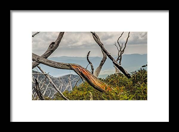 Alpine National Park Framed Print featuring the photograph The Colour Within by Mark Lucey