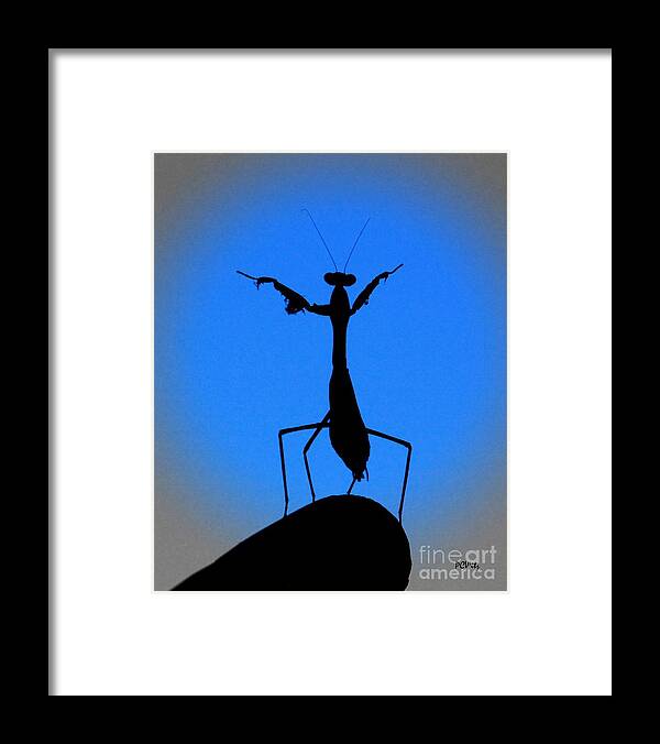 Conductor Framed Print featuring the photograph The Conductor by Patrick Witz