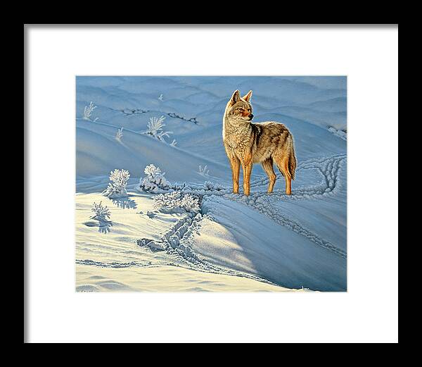 Wildlife Framed Print featuring the painting the Coyote - God's Dog by Paul Krapf