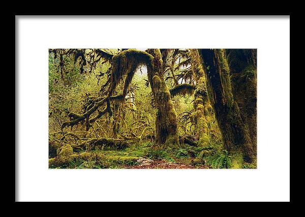 Woods Framed Print featuring the photograph The Deep and The Dark by Stuart Deacon