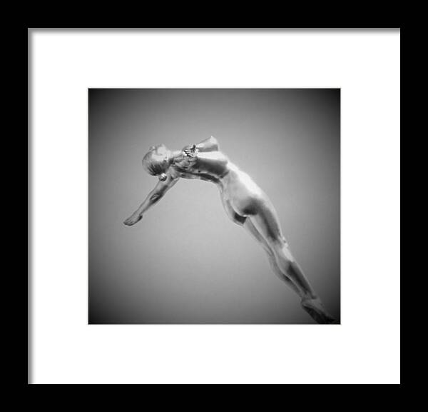 Swimming Framed Print featuring the photograph The Free Dive by Gary Smith