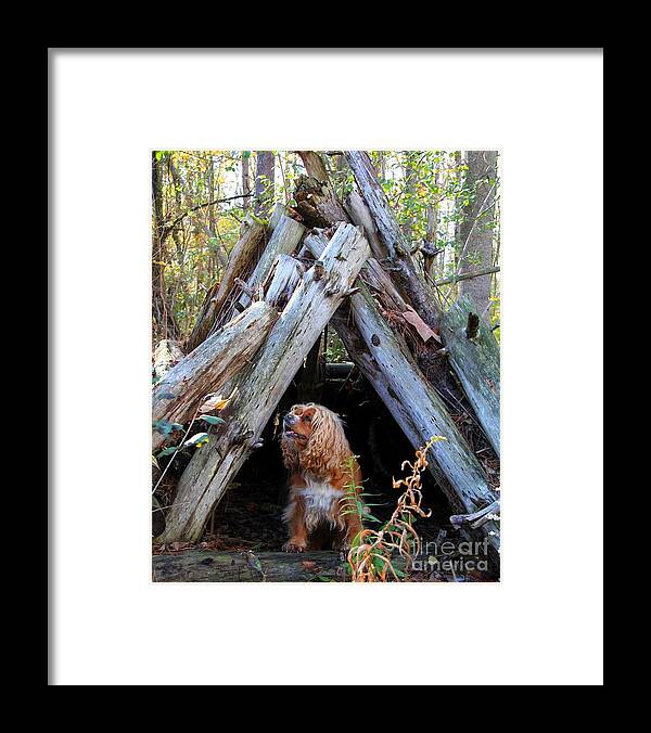 Dog Framed Print featuring the photograph The Dog in the Teepee by Davandra Cribbie