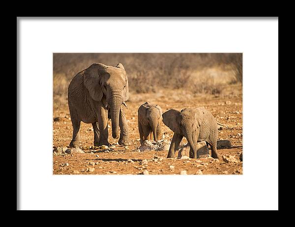 Sand Framed Print featuring the photograph The Elephants Itching Rock by Paul W Sharpe Aka Wizard of Wonders