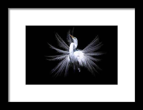 Crystal Yingling Framed Print featuring the photograph The Fan by Ghostwinds Photography