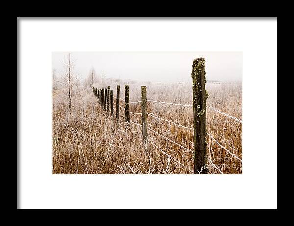 Frost Framed Print featuring the photograph The Fence Still Stands by Lori Dobbs