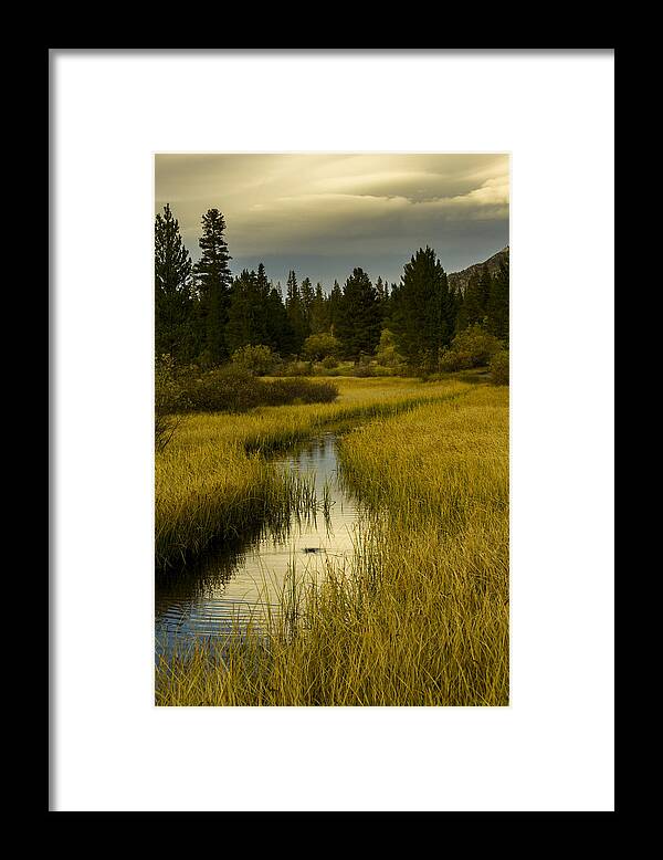 California Framed Print featuring the photograph The fish are biting at Rock Creek by Joe Doherty
