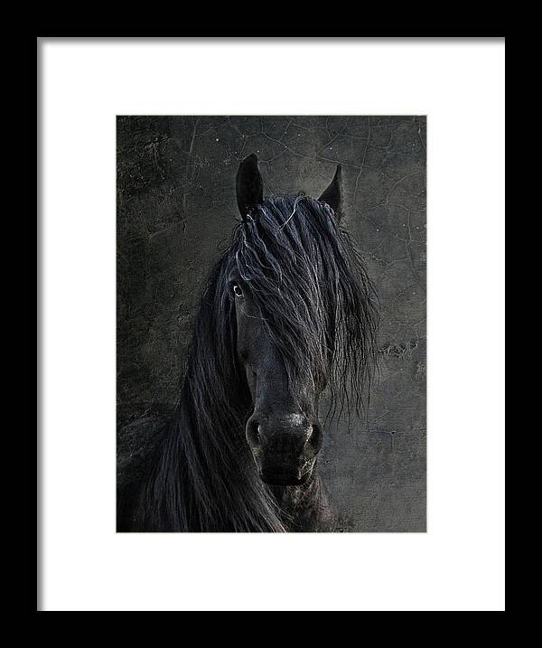 Animalhorsefrisianblack Marepicturesquenatureportraitequineridingstallioneyeemotionspowerfriesiantexturelookclose-upbeauty Framed Print featuring the photograph The Frisian by Joachim G Pinkawa