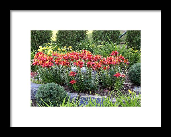 Botanical Garden Framed Print featuring the photograph The Garden by the Rocks by M Three Photos