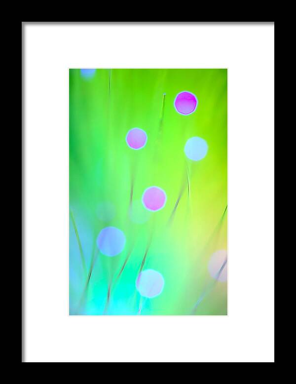 Abstract Framed Print featuring the photograph The Garden by Dazzle Zazz