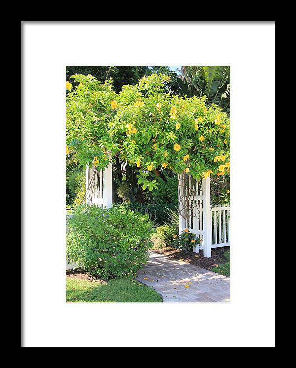 Gate Framed Print featuring the photograph The Gate by Rosalie Scanlon
