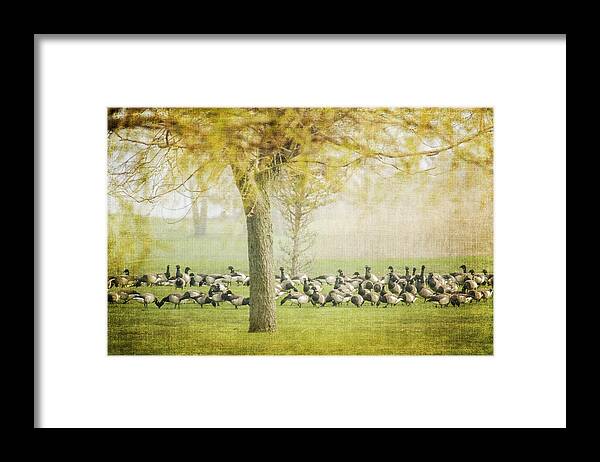 Flock Framed Print featuring the photograph The Gathering by Cathy Kovarik