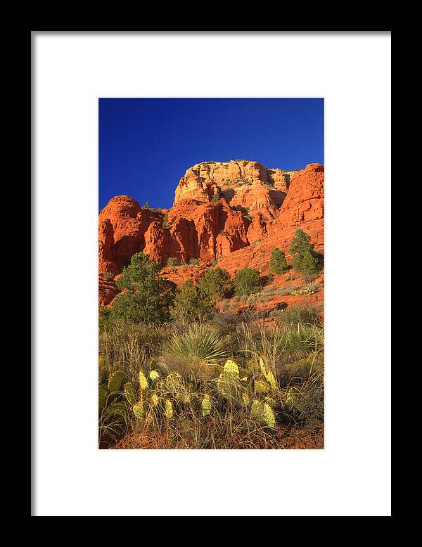 Sedona Framed Print featuring the photograph The Glory of the Desert Red Rocks 1 by Douglas Barnett