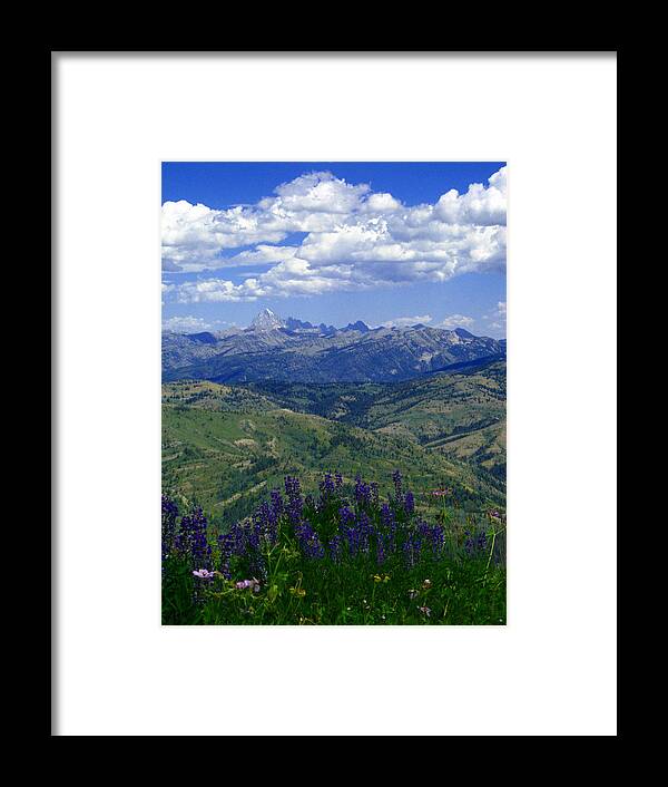 Lupines Framed Print featuring the photograph The Grand and Lupines by Raymond Salani III