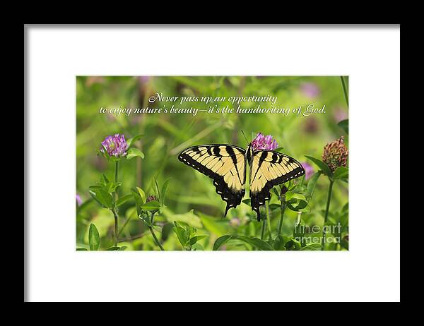 Clover Framed Print featuring the photograph The Handwriting of God by Jill Lang