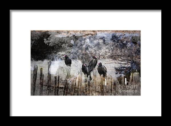 Vultures Framed Print featuring the photograph The Hangout by Dianne Phelps