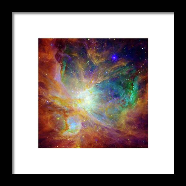 Universe Framed Print featuring the photograph The Hatchery by Jennifer Rondinelli Reilly - Fine Art Photography