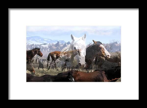 Horses Framed Print featuring the photograph The Herd 2 by Kae Cheatham