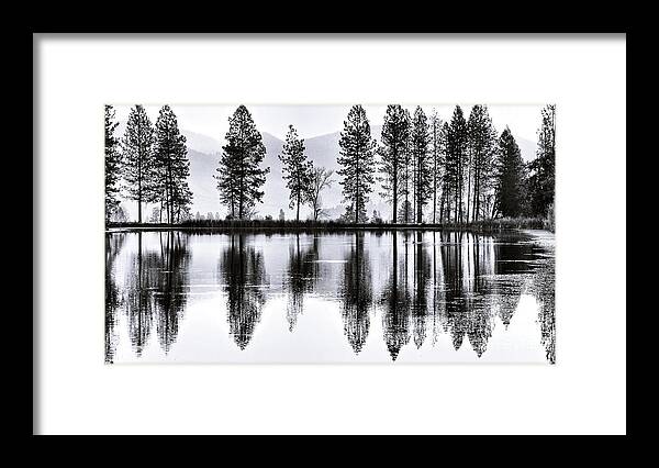Monochrome Framed Print featuring the photograph The Heron Pond by Julia Hassett