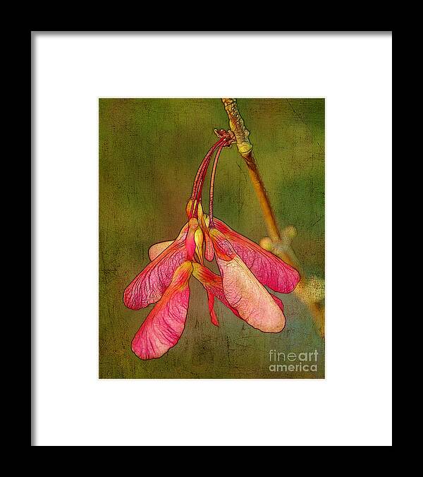 Fruit Framed Print featuring the photograph The Keys to Springtime by Judi Bagwell