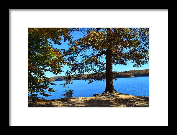 Autumn Trees Framed Print featuring the photograph Autumn Trees on Blue Lake by Stacie Siemsen