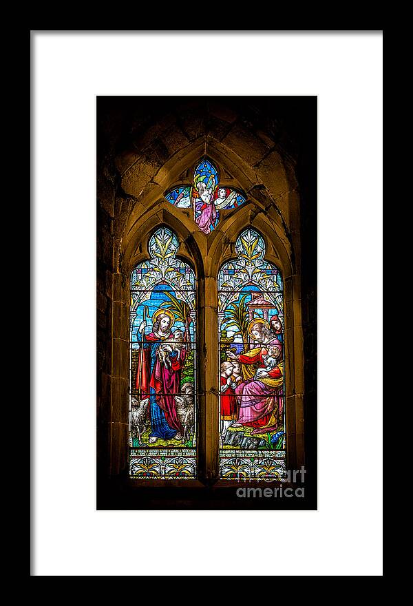 Church Stained Glass Framed Print featuring the photograph The Lambs by Adrian Evans