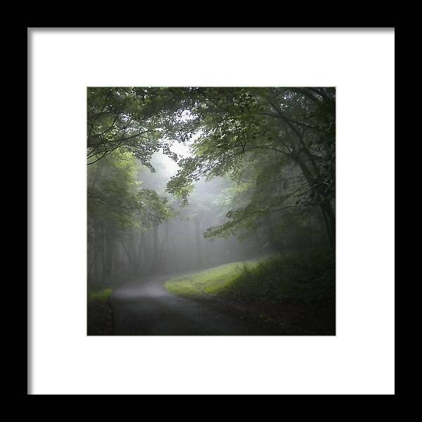 Light Framed Print featuring the photograph The Light Leading Home 3 by Diannah Lynch