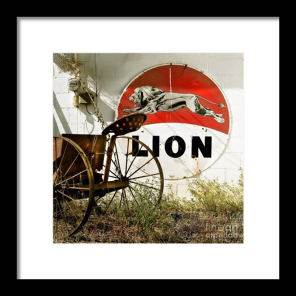 Lion Oil Framed Print featuring the photograph The Lion and the Chariot by T Lowry Wilson