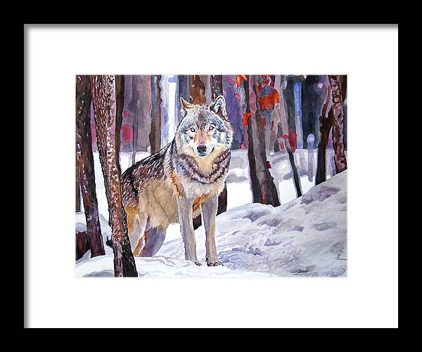 Wolf Framed Print featuring the painting The Lone Wolf by David Lloyd Glover