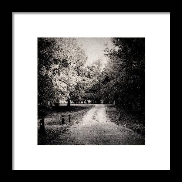 Road Framed Print featuring the photograph The Lonely Road -textured photo art monochrome by Ann Powell