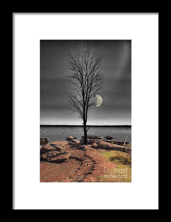 Tree Framed Print featuring the photograph The Lonely Tree by Betty LaRue