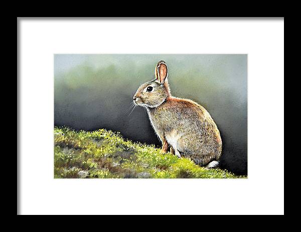 Rabbit Framed Print featuring the painting The Lookout by Paul Dene Marlor