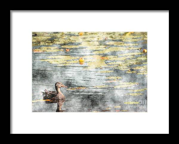 Photograph Framed Print featuring the photograph The Lovely Pond by Aimelle Ml