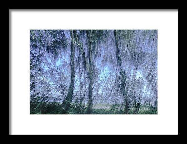 The Magic Forest Framed Print featuring the photograph The Magic Forest-10 by Casper Cammeraat