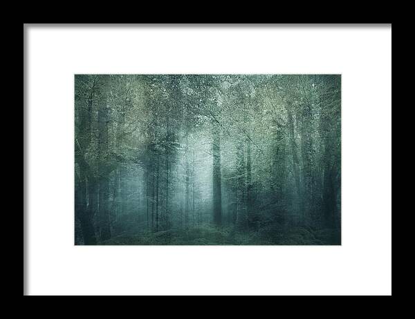Forest Framed Print featuring the photograph The Magic Forest by Sharon Johnstone