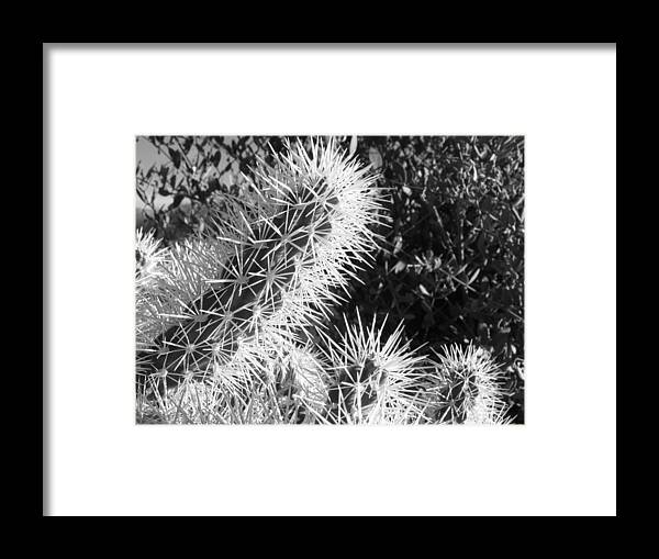 Arizona Cactus Framed Print featuring the photograph The Magic of the Desert by Penelope Aiello