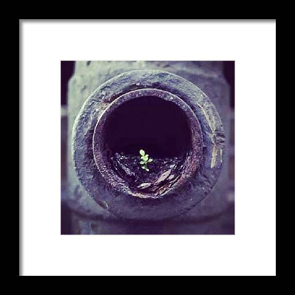 Life Framed Print featuring the photograph The Meaning Of #life #nature by Abdelrahman Alawwad