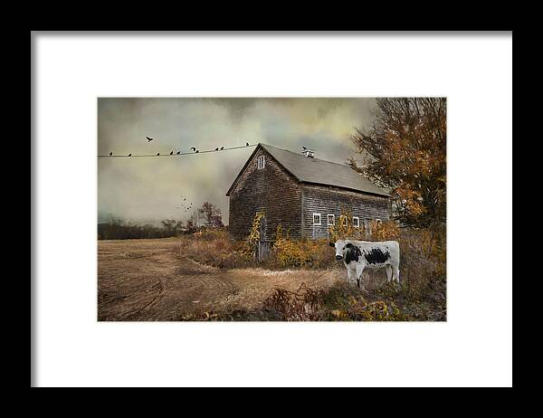 Farm Framed Print featuring the photograph The Misfit by Robin-Lee Vieira