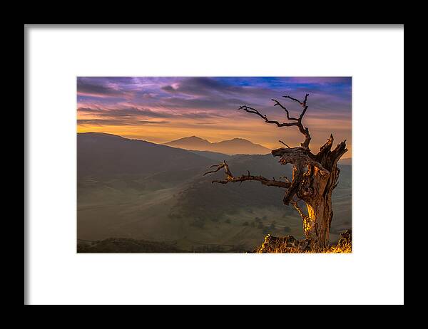 Landscape Framed Print featuring the photograph The Old Tree And Diablo by Marc Crumpler