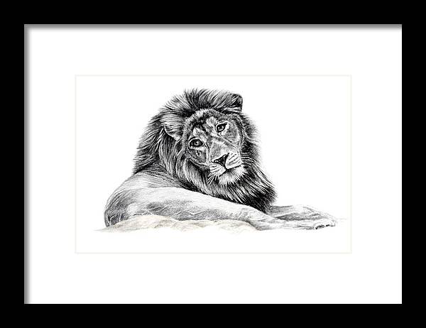 Portrait Framed Print featuring the drawing The Old Warrior by Pencil Paws