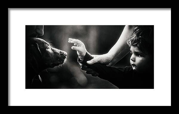 Fear Framed Print featuring the photograph The Only Thing We Have To Fear... by Knartis?