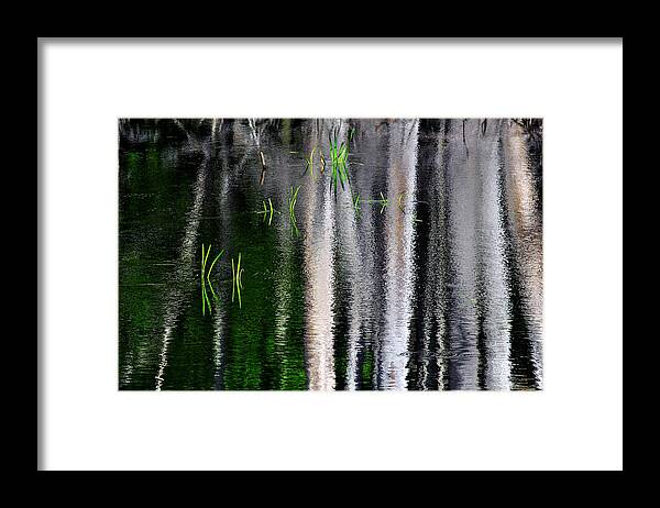 Nj Framed Print featuring the photograph The Other Reflections of a Swamp by Dawn J Benko