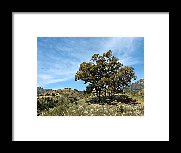 Spain Framed Print featuring the photograph The Other Side of Spain by Clare Bevan