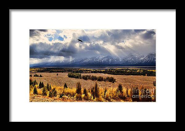 Tetons. Teton National Park Framed Print featuring the photograph The Overlook by Jim Garrison