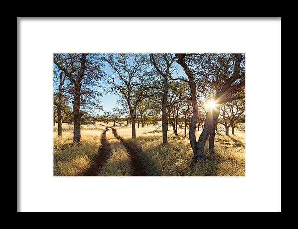 Chico Framed Print featuring the photograph The Path by Lee Harland